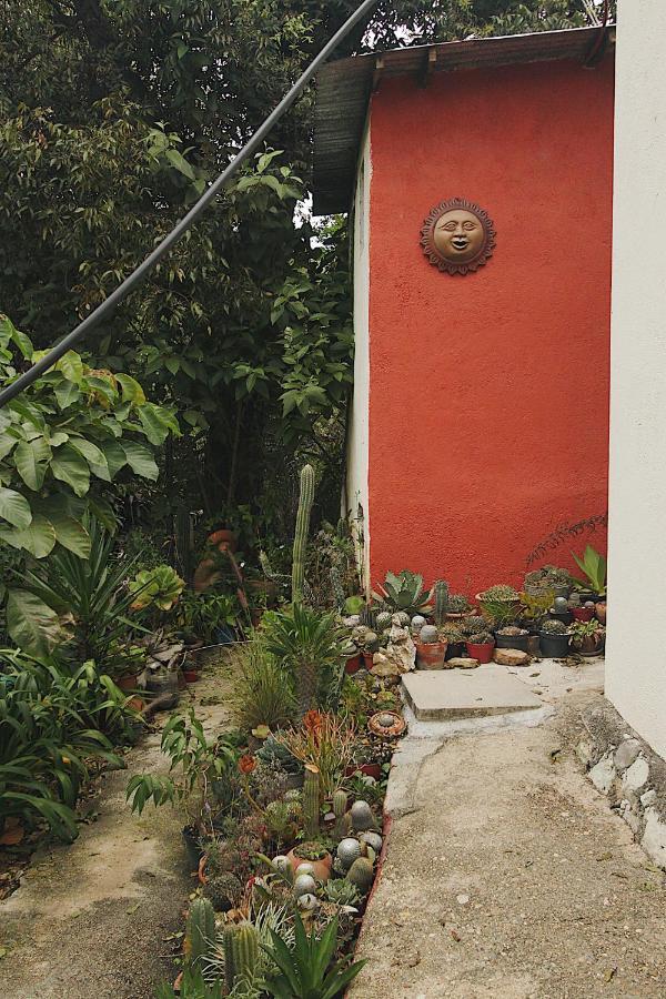 Cabana Campestre En Oaxaca Екстериор снимка