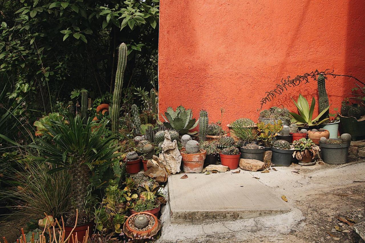 Cabana Campestre En Oaxaca Екстериор снимка