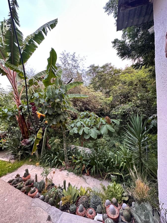 Cabana Campestre En Oaxaca Екстериор снимка